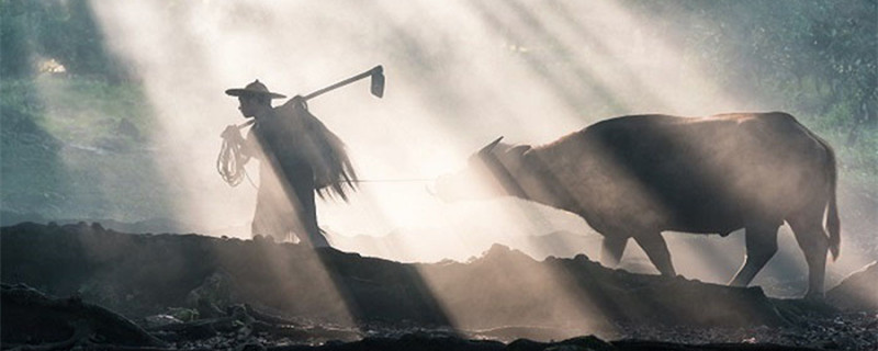 田父遗产文言文翻译 田父遗产文言文翻译