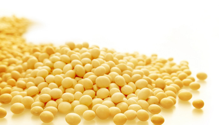 豆子有多少种 豆子有多少种类 