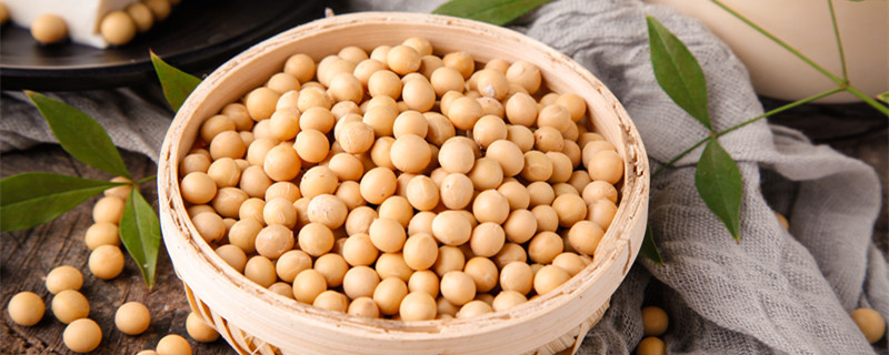 豆子有多少种 豆子有多少种类 