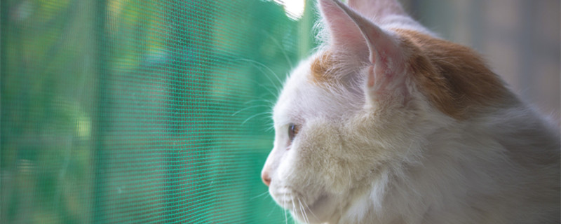 纱窗材质有哪些 纱窗材质有哪些材质