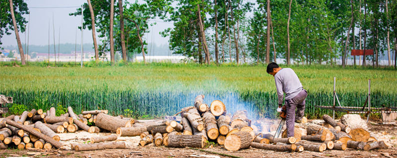 木工电锯种类 木工电锯的种类