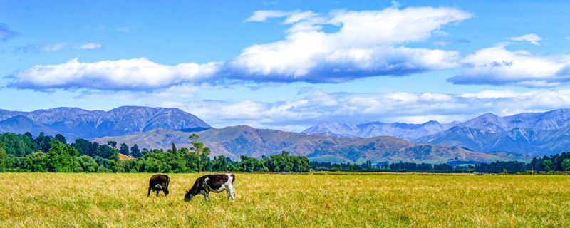 南山牧场海拔多少米高 南山牧场海拔多少