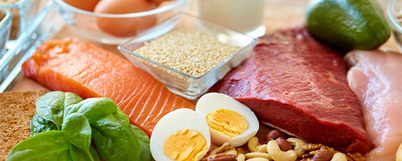 蛋白质的来源蛋白质的来源有哪些食物(图1)