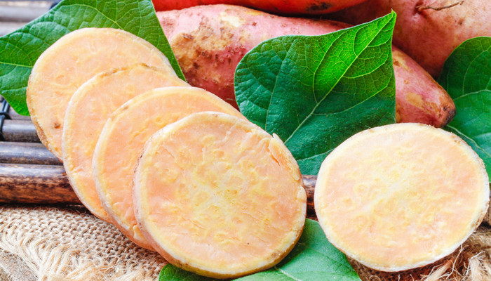 木薯粉有毒吗 木薯粉有毒吗对身体有害吗