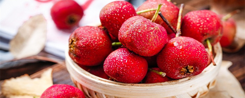 山楂和红果的区别 山楂和红果有啥区别