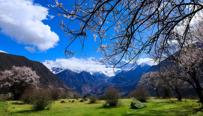 墨脱在中国的什么地方 墨脱是哪个地方的