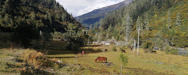 墨脱在中国的什么地方 墨脱是哪个地方的
