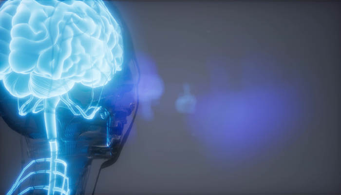 反射弧是什么意思 人的反射弧是什么意思