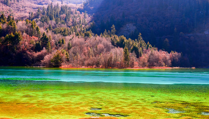 九寨沟在哪里 九寨沟的地址