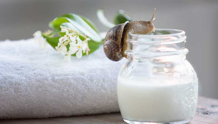 蜗牛2.jpg 蜗牛2.jpg