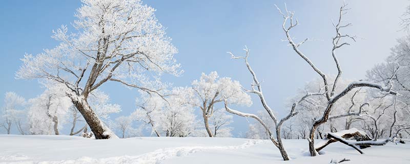 关于立冬的谚语 有关于立冬的谚语