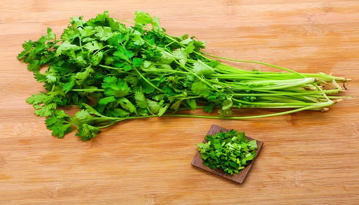 香菜2 (1).jpg
