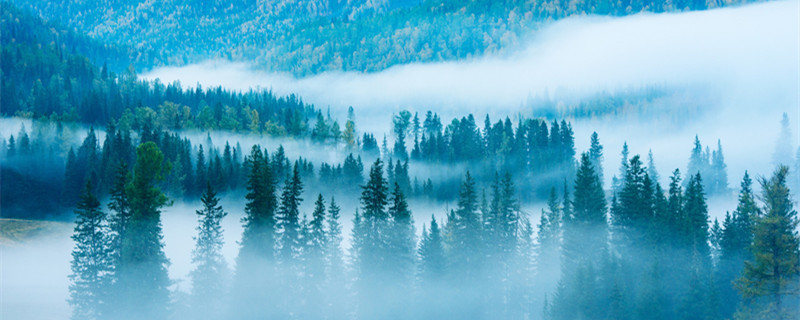 山林 树_800.jpg 山林 树_800.jpg