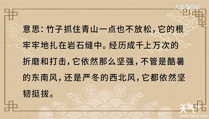 排行拼音_数读2020全国开发商销售金额排行