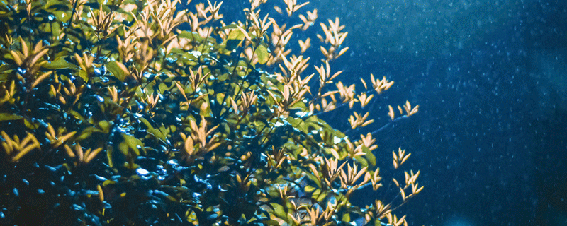 梦到下小雨什么意思 梦到下小雨有什么征兆