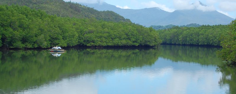 摄图网_504341048_Bacungan红树林清水河自然风景（企业商用）.jpg