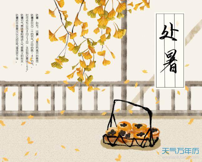 2020朋友圈关于处暑的说说2020年最新处暑节气说说