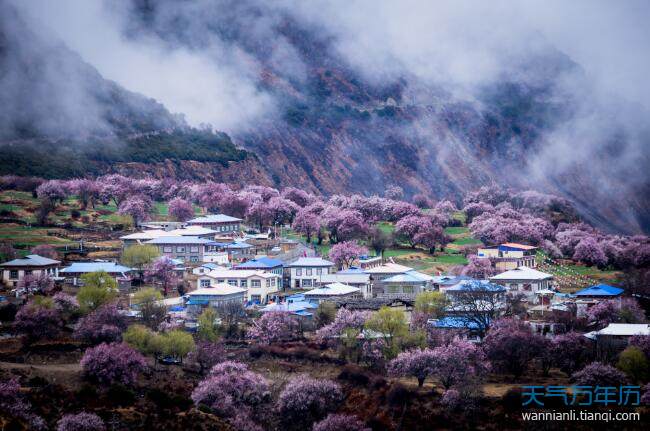 桃花的唯美句子 形容桃花风景优美的短句