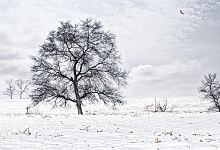 2021冬至祝福语图片大全 2021冬至祝福语图片带字温馨