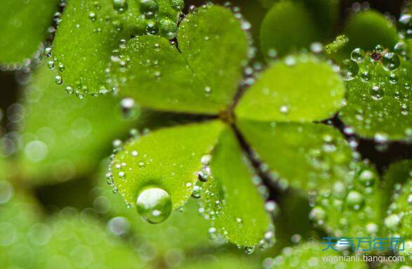 万年历 节日手抄报 > 正文   导语:雨水节气的到来表示着降雨开始了