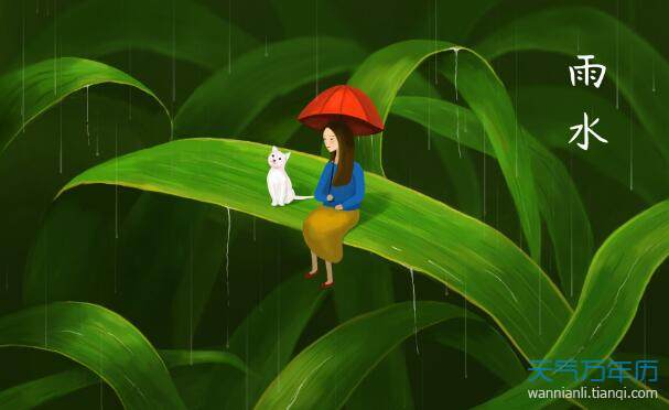 雨水节气图片高清雨水节气创意图
