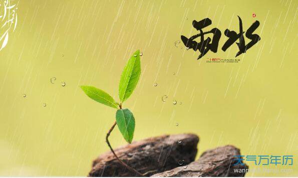 雨水图片大全大图 浪漫唯美的雨水节气