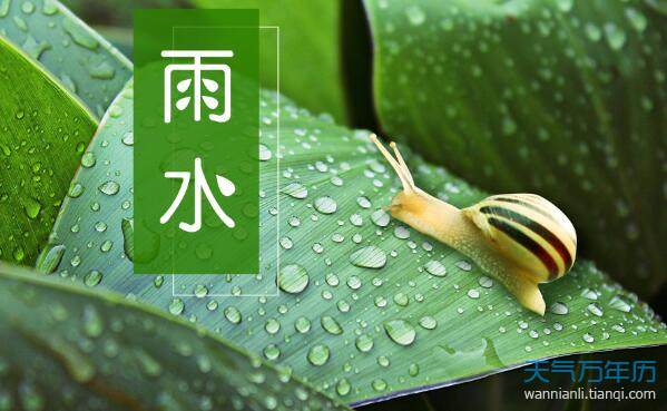 雨水图片大全大图 浪漫唯美的雨水节气