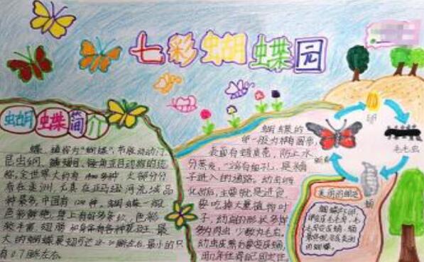 生物手抄报 生物手抄报简单又漂亮