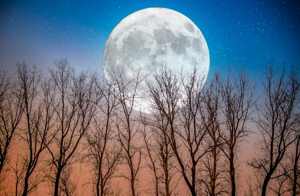 夜空中最美唯美月亮图片 中秋月的漂亮图片