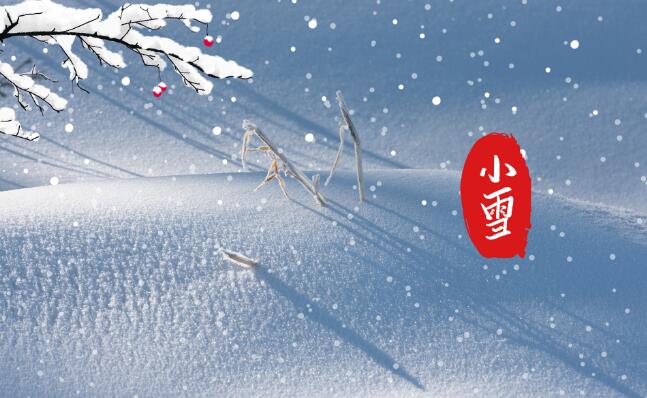 小雪节气暖心祝福语2020 今日小雪适合发的句子说说2020