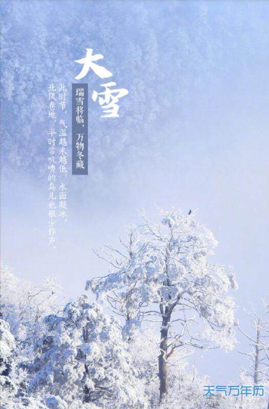 2020大雪节气图片高清 2020简约二十四节气大雪节气海报图片