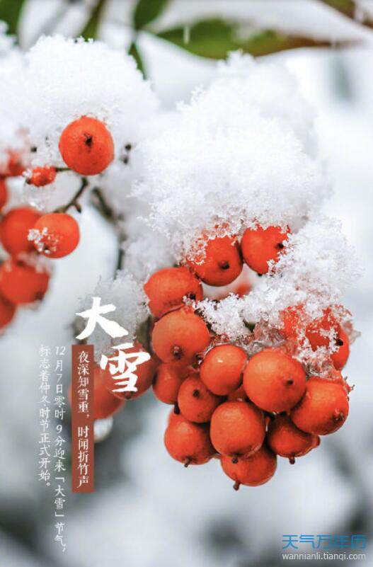 2020大雪节气图片高清2020简约二十四节气大雪节气海报图片