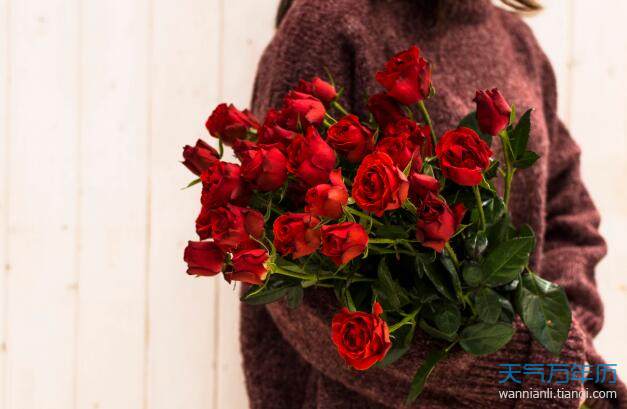 万年历 节日手抄报 > 正文   16朵玫瑰-多变不安的爱情!