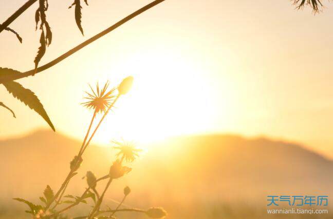 2020心向阳光正能量的句子 2020心若向阳的励志的短句