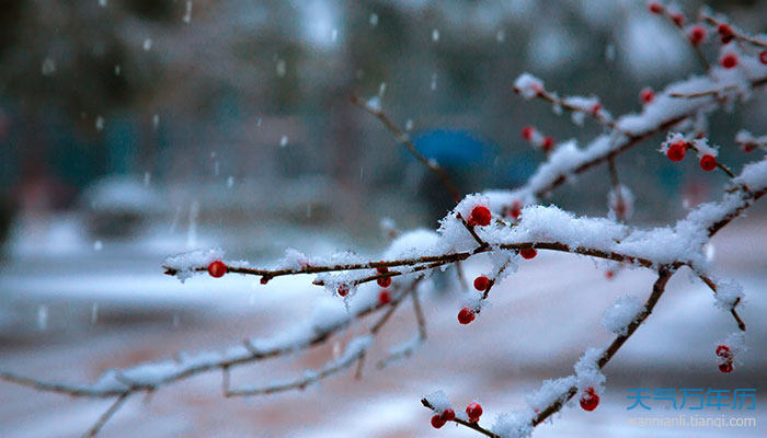 万年历 节日祝福语 > 正文   导读:每逢下雪,似乎一夜之间我们熟悉的