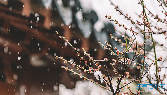 关于下雪的唯美句子 关于飘雪唯美句子说说