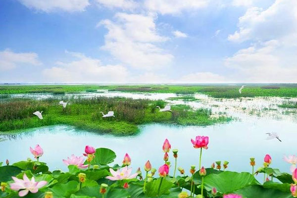 洪泽湖湿地自然保护区