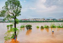 梦见发洪水下大雨什么意思 梦见发洪水下大雨预示着什么
