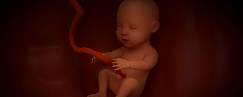 梦见胎儿什么意思 梦见胎儿代表了什么