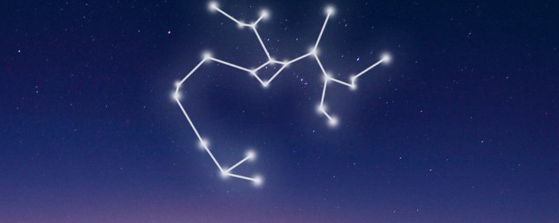 12星座的幸运花分别是什么 十二星座的幸运物是什么