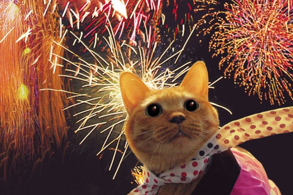 日本烟火大会什么时候 日本花火大会2019时间