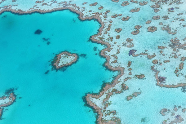 国外潜水哪里好 去国外潜水哪个地方好