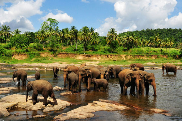 斯里兰卡旅游攻略 斯里兰卡自由行攻略