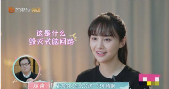 张恒送郑爽猪是怎么回事 张恒为什么送郑爽猪