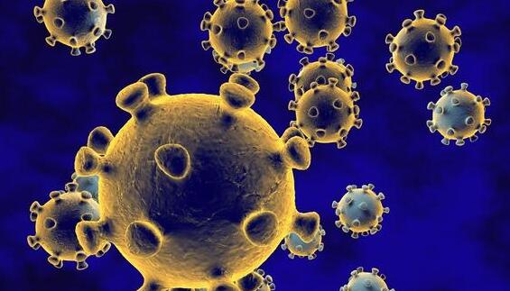 新冠病毒原子图是什么情况 新冠病毒原子图长得什么样