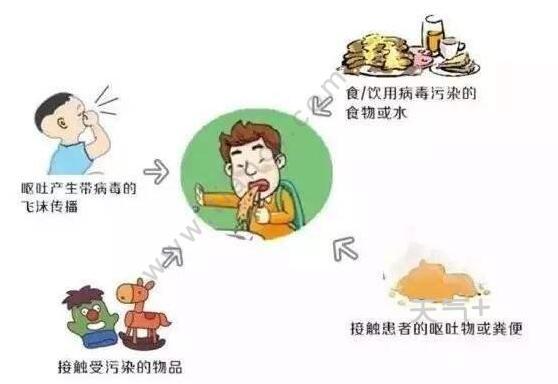 新冠病毒已在全球层面稳固传播是怎么回事 新冠病毒有多少种传播方式