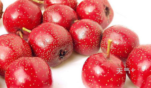 山楂的功效与作用 山楂适合哪些人群