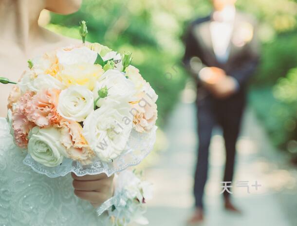 铂爵旅拍否认传销是怎么回事 铂爵旅拍否认传