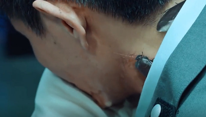 蟑潮剧情介绍 蟑潮剧情简介