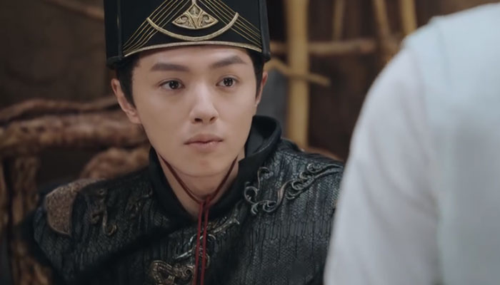 玉昭令剧情介绍 玉昭令剧情简介